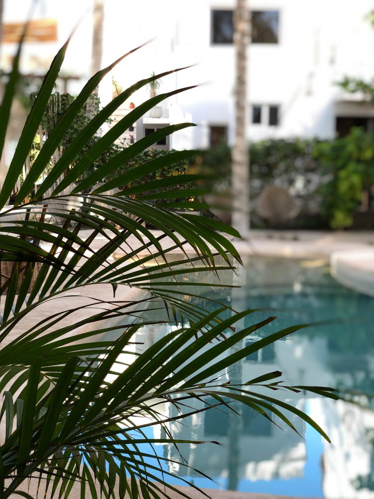 Hotel Boutique Can Cocal El Cuyo Zewnętrze zdjęcie